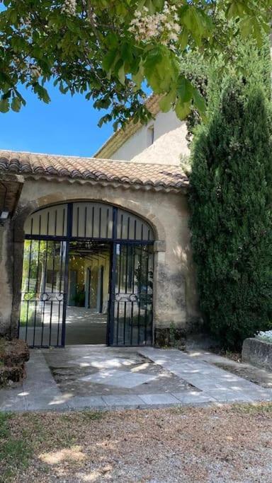 Au Mas Des Glycines - Gite La Tropezienne - 5 Personnes Camaret-sur-Aigues Eksteriør bilde